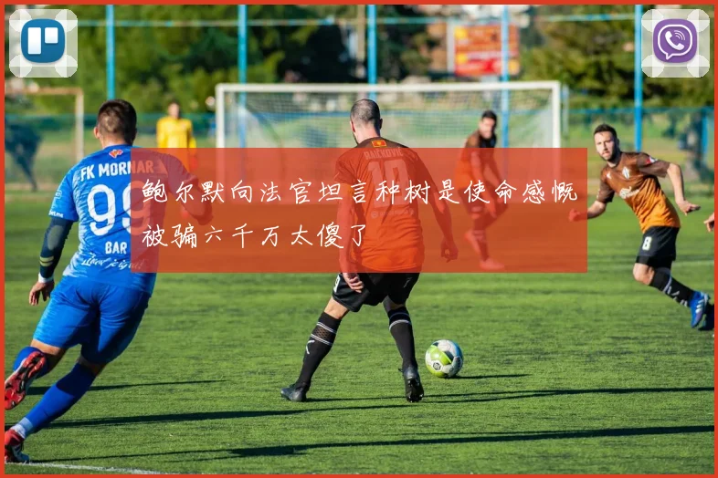 鲍尔默向法官坦言种树是使命感慨被骗六千万太傻了
